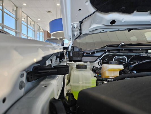 Short Washer Bottle Inlet for Nextgen Ford Ranger/Raptor/Everest/Amarok